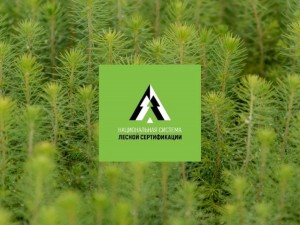 Сыктывкарский ЛПК присоединился к новой Национальной системе лесной сертификации