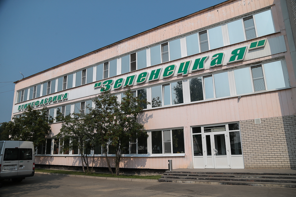 Zelenezkaya-ptizefabrika(1).jpg