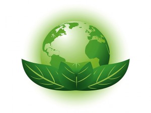 XII Международный форум «Экология»
