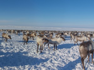 Комиссия РСПП по ОПК проведет заседания по вопросу реализации Стратегии развития Арктической зоны РФ и обеспечения национальной безопасности