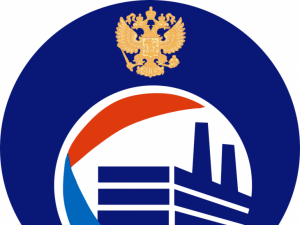 В Коми стартовал Республиканский этап всероссийского конкурса «Российская организация высокой социальной эффективности»